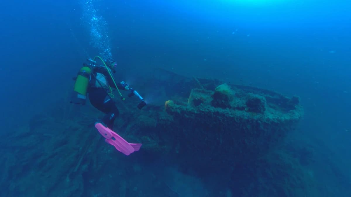 Expérience immersive de plongée sous-marine en 360°